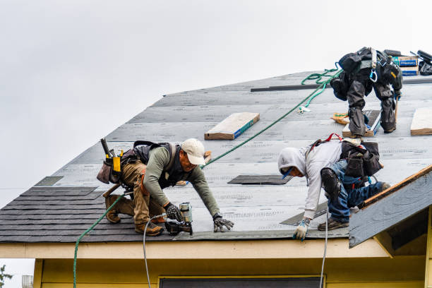 Professional Gutter Installation technician working in Brownsville, TX